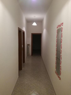 Casa max